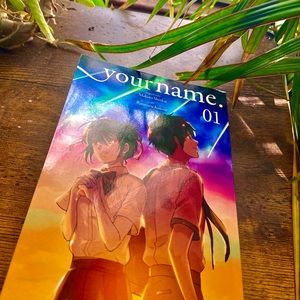 a japanese manga (your name manga)